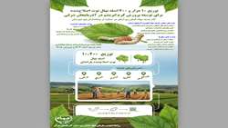  توزیع ۱۰ هزار و ۲۰۰ اصله نهال توت اصلاح‌شده برای توسعه پرورش کرم ابریشم در آذربایجان شرقی